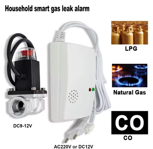 Sensore perdite gas naturale - perdite,
